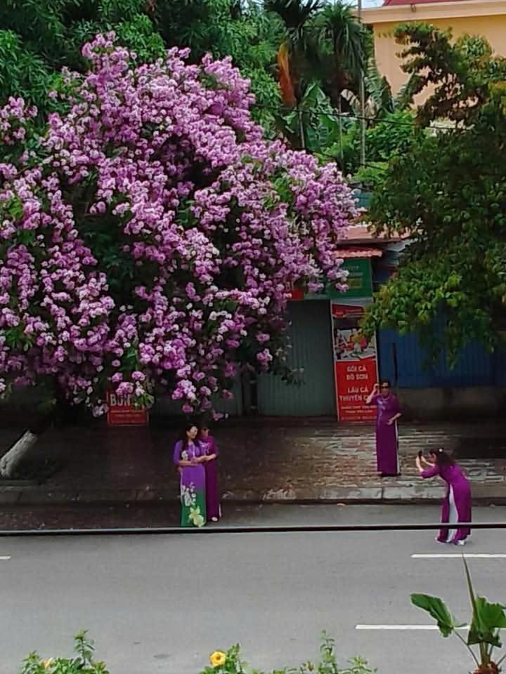 Quang Minh Hotel Tho Son Exterior photo